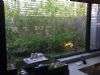 DSC01858.JPG