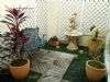 conew_dscf9423.jpg