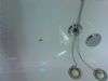 DSC00088.jpg