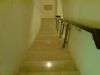 DSC01339.JPG