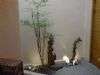 DSC01336.JPG