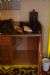 DSC01570.JPG