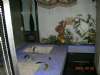 DSCN3627.JPG