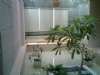 IMG0336A.jpg