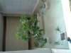 IMG0325A.jpg