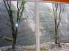 DSC01519.JPG