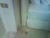 DSC00166.JPG