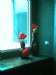 IMG0030A.jpg