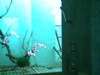 IMG0036A.jpg